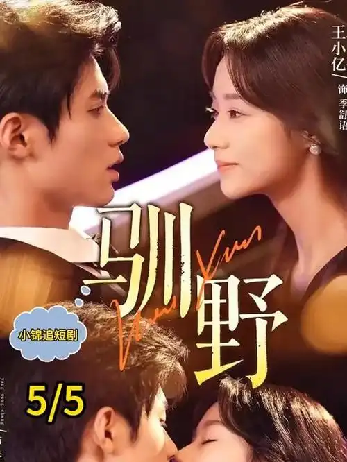 与凤行 电视剧 2024 邓科